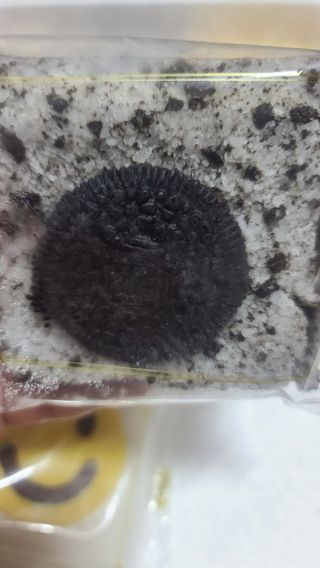 요니잉님이 올린 리뷰 사진 4