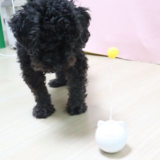 우와한언니님이 올린 리뷰 사진 2
