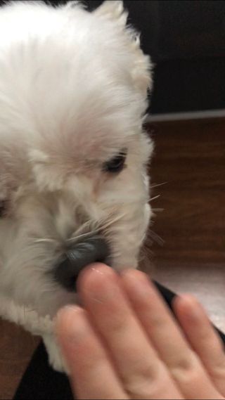 쫑쫑님이 올린 리뷰 사진 3