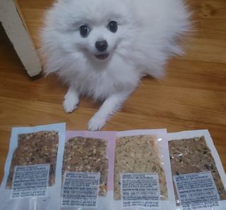씽크라이크펫 강아지 화식 (50g 소/닭/오리/양 1팩씩 4팩) — 5점을 준 리뷰어가 2023년 1월 올린 사용 사진