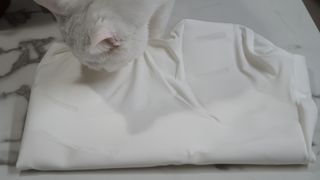 도르방구님이 올린 리뷰 사진 3