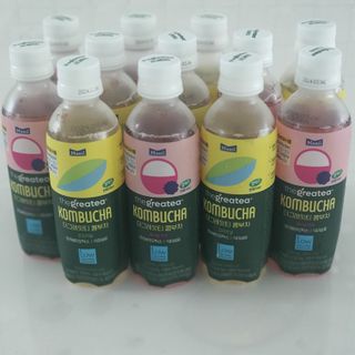 더그레잇티 콤부차 [매일유업] 더그레잇티 44kcal 콤부차 300ml *12개입 (오리지널 6개+베리리치 6개) — 5점을 준 리뷰어가 2023년 7월 올린 사용 사진