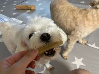 쓸언니님이 올린 리뷰 사진 4
