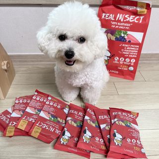 [푸디웜] 라포그  리얼인섹트 관절 저알러지 강아지 사료  1.2KG — 5점을 준 리뷰어가 2022년 8월 올린 사용 사진