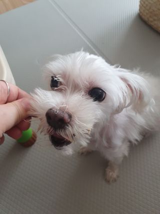 마이쭈님이 올린 리뷰 사진 3