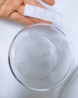 샐리지아님이 올린 리뷰 사진 4