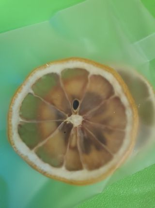 러블리예자매맘님이 올린 리뷰 사진 3