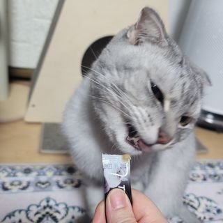 에디터보나님이 올린 리뷰 사진 1