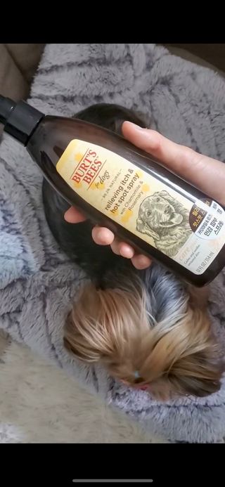 여리여링님이 올린 리뷰 사진 2