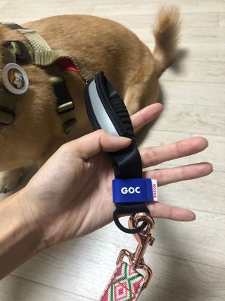 베이컨박스 [BACON] 고아웃클럽 산책 안전벨트 리뉴얼 - 중,대형견용 — 5점을 준 리뷰어가 2021년 12월 올린 사용 사진