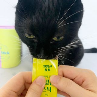 페페로니 맛있는 스틱 - 무항생제 닭고기 15개 + 원양선 참치 15개 — 5점을 준 리뷰어가 2021년 8월 올린 사용 사진