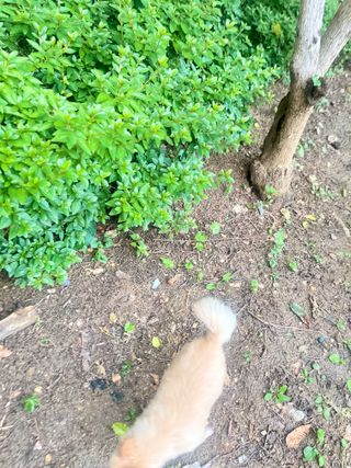 Lucy님이 올린 리뷰 사진 1