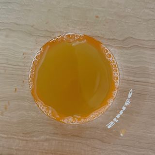 준블리님이 올린 리뷰 사진 4