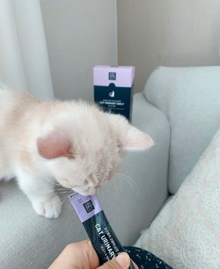 코코몰리 고양이 구강• 헤어볼 데일리 /신장• 요로 데일리 — 5점을 준 리뷰어가 2021년 1월 올린 사용 사진
