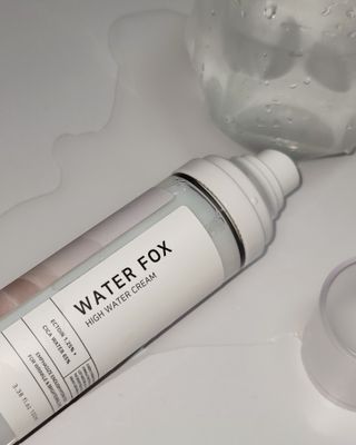 가치 WATERFOX(워터폭스)-엑토인 시카-비옴 하이 워터 크림 (100ml) — 4.5점을 준 리뷰어가 2023년 3월 올린 사용 사진