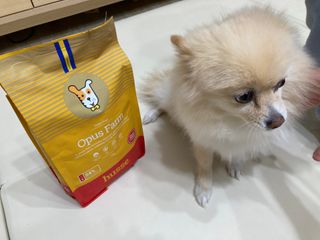 yoniyoni님이 올린 리뷰 사진 1