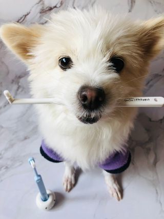Lily님이 올린 리뷰 사진 1