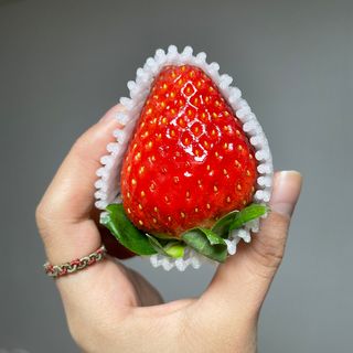 옳음 딸기 논산 설향 딸기 900g 산지직송 — 5점을 준 리뷰어가 2021년 1월 올린 사용 사진