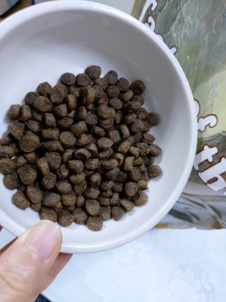 민난길님이 올린 리뷰 사진 2