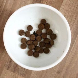 예니님이 올린 리뷰 사진 3