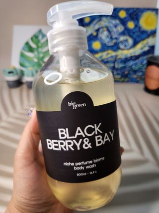 빅그린 니치 퍼퓸 바이옴바디워시 500ml(상탈, 블랙베리&베이, 블랑쉐 3종 중 택1) — 5점을 준 리뷰어가 2022년 7월 올린 사용 사진