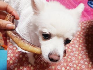 바나나님이 올린 리뷰 사진 1