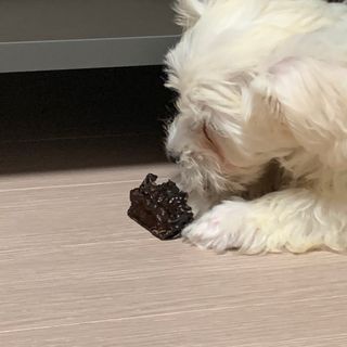 응네님이 올린 리뷰 사진 4