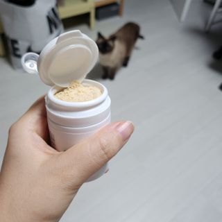 부우기님이 올린 리뷰 사진 3