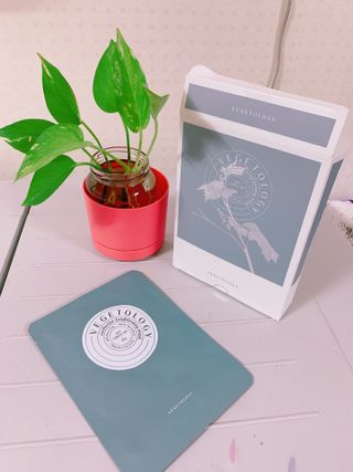 베지톨로지 비니페린 브라이트닝 마스크 (10매입) — 5점을 준 리뷰어가 2022년 8월 올린 사용 사진