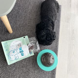 My Pet Care 천연단백질 눈건강에 개좋아 — 5점을 준 리뷰어가 2021년 3월 올린 사용 사진