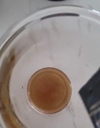 프리마인 자체 기업부설 연구소에서 찾아낸 건강한 수면의 비밀.  슬립토 플러스 30포 — 4점을 준 리뷰어가 2021년 11월 올린 사용 사진