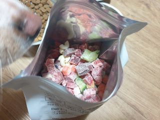 씽크라이크펫 큐브생식 1kg — 4점을 준 리뷰어가 2022년 11월 올린 사용 사진