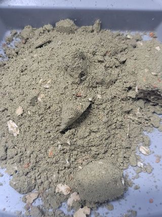 끌랑님이 올린 리뷰 사진 2