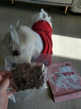 My Pet Care 천연단백질 관절건강에 개좋아 — 5점을 준 리뷰어가 2021년 2월 올린 사용 사진