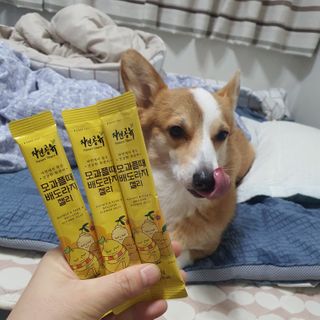 박지은님이 올린 리뷰 사진 3