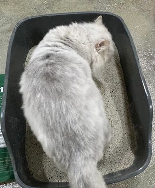 ᴮᵒᵐ님이 올린 리뷰 사진 2