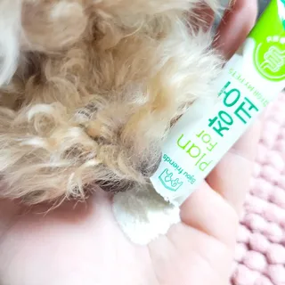 야토언니님이 올린 리뷰 사진 3