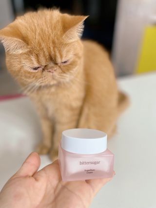 딸기우유님이 올린 리뷰 사진 2