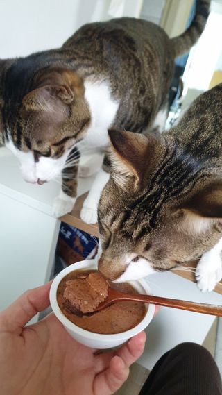 둘둘이님이 올린 리뷰 사진 3