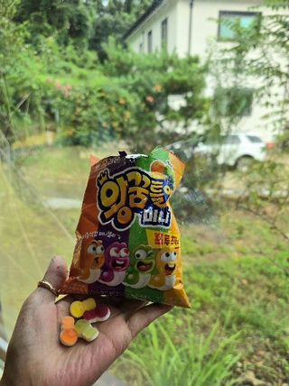 jj스타일님이 올린 리뷰 사진 2