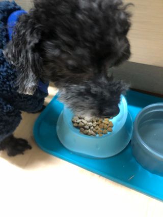 혜윰님이 올린 리뷰 사진 4