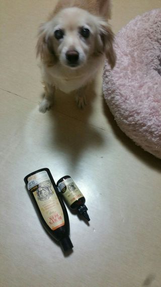 라클맘님이 올린 리뷰 사진 2