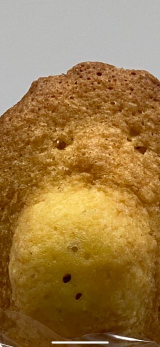 [메종콜리브리] 프랑스 마들렌 메종콜리브리 플레인 마들렌 2팩 — 5점을 준 리뷰어가 2022년 3월 올린 사용 사진