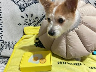 뚜블리님이 올린 리뷰 사진 1