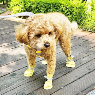써니곰님이 올린 리뷰 사진 1