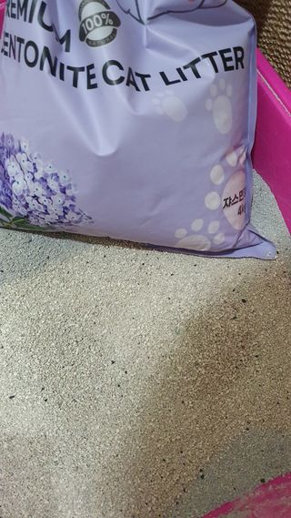 겟플렉스 켓플렉스 캣츠룸BS-1 고양이모래 4kg — 5점을 준 리뷰어가 2021년 1월 올린 사용 사진