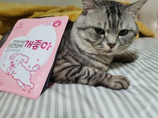 My Pet Care 천연단백질 관절건강에 개좋아 — 5점을 준 리뷰어가 2021년 2월 올린 사용 사진