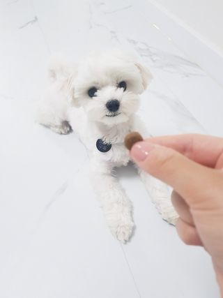 또딩님이 올린 리뷰 사진 3