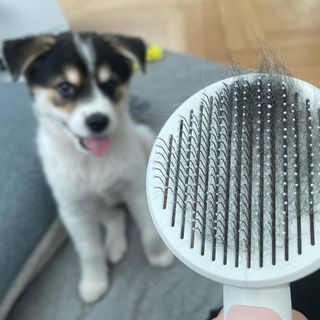 CW님이 올린 리뷰 사진 1