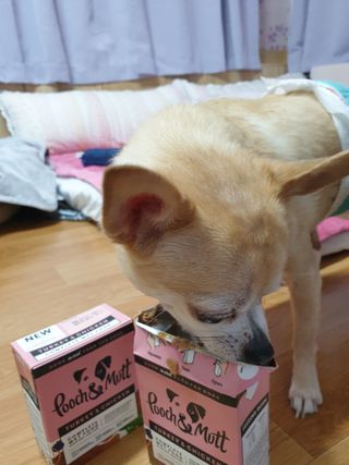 복덩이님이 올린 리뷰 사진 2